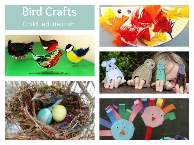 40 Ways to Welcome Spring Birds · Child Led Life