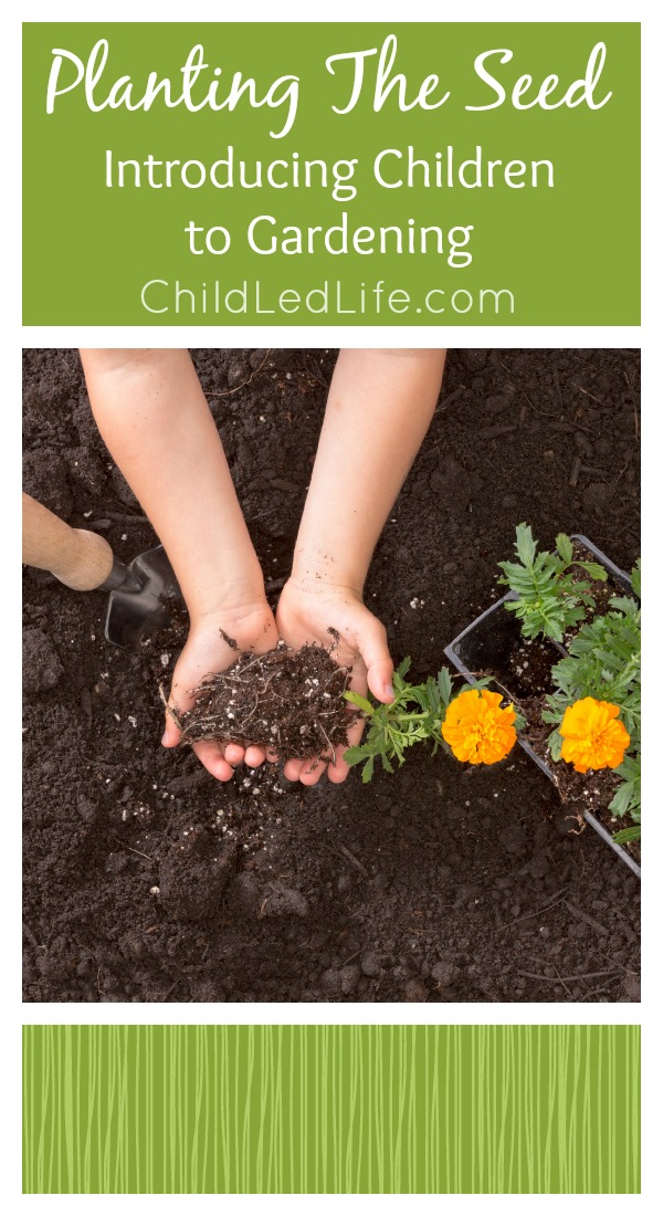 Introduce children to gardening by planting the seed! Find a great lesson on ChildLedLife.com