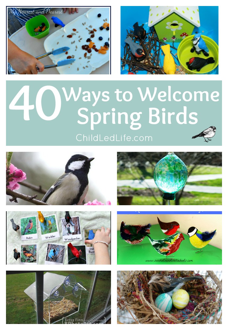 40 Ways to Welcome Spring Birds! DIY Bird Feeders, learning activities, crafts, and so much more on ChildLedLife.com
