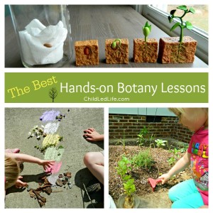 Hands on lessons for exploring botany on ChildLedLife.com